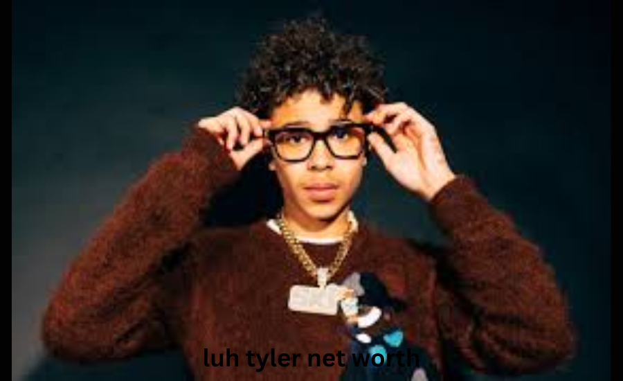 luh tyler net worth