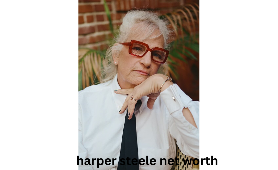 harper steele net worth